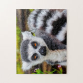 Ring Tailed Lemur, Jigzaag Puzzle Legpuzzel (Verticaal)