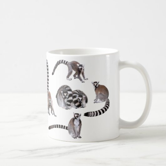 Ring-tailed lemur koffiemok (Rechts)