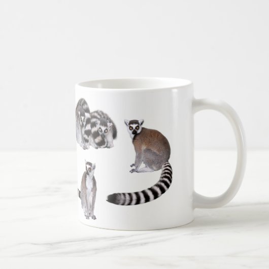 Ring-tailed lemur koffiemok (Rechts)