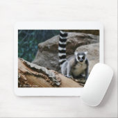 RIng Tailed Lemur Muismat (Met muis)