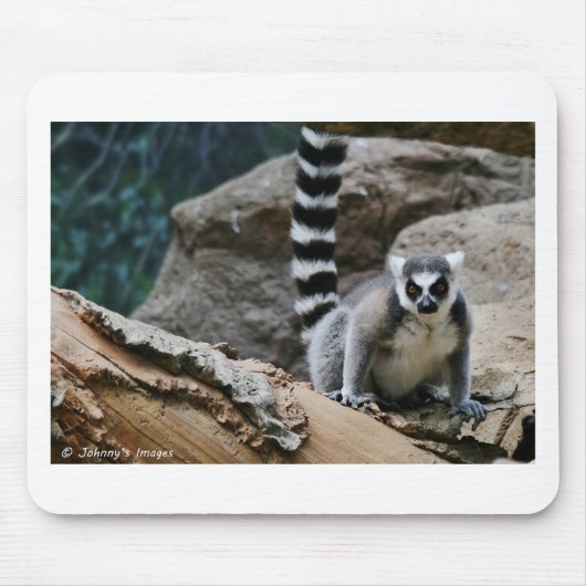 RIng Tailed Lemur Muismat (Voorkant)