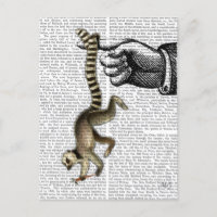 Ring Tailed Lemur op vinger 2