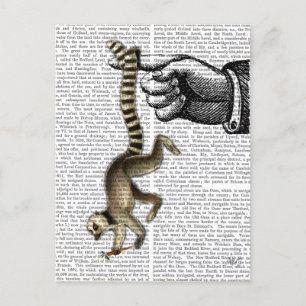 Ring Tailed Lemur op vinger 2 Briefkaart