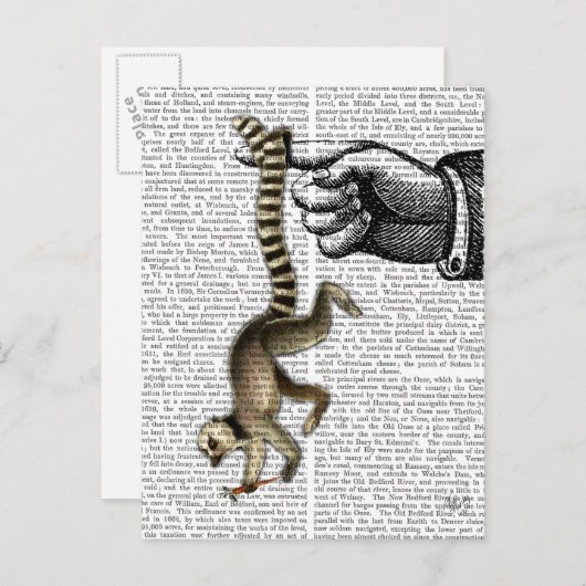 Ring Tailed Lemur op vinger 2 Briefkaart (Voorkant / Achterkant)