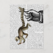 Ring Tailed Lemur op vinger 2 Briefkaart (Voorkant)