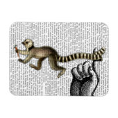 Ring Tailed Lemur op vinger 2 Magneet (Horizontaal)