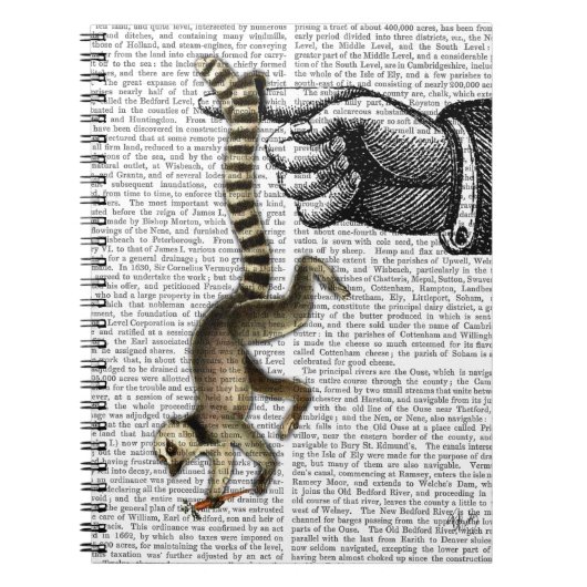 Ring Tailed Lemur op vinger 2 Notitieboek (Voorkant)