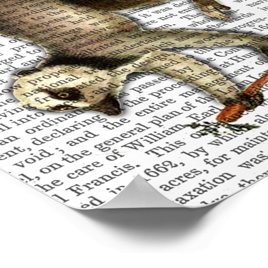 Ring Tailed Lemur op vinger Poster (Hoek)