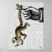 Ring Tailed Lemur op vinger Poster (Voorkant)