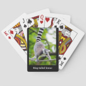 Ring-tailed lemur pokerkaarten (Achterkant)