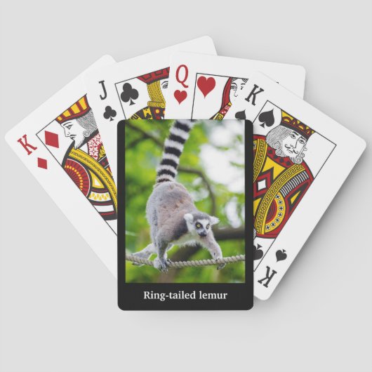 Ring-tailed lemur pokerkaarten (Achterkant)