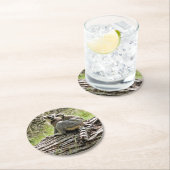 RING-TAILED LEMUR RONDE KARTONNEN ONDERZETTER (Insitu)