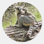 RING-TAILED LEMUR RONDE STICKER (Voorkant)