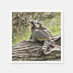 RING-TAILED LEMUR SERVET