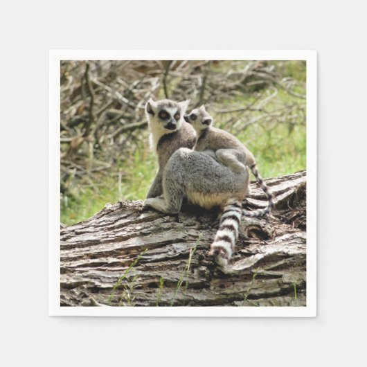 RING-TAILED LEMUR SERVET (Voorkant)