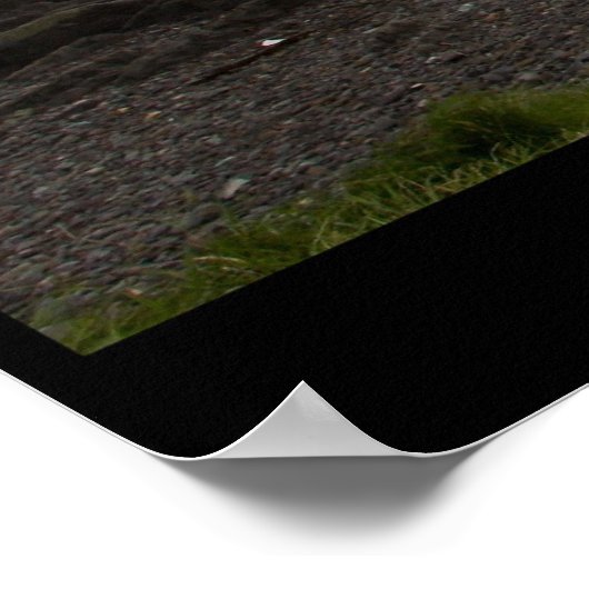 Ring van Kerry Poster (Hoek)