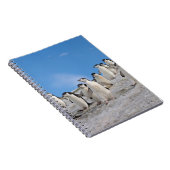 Ringbandpinguïns | Pygoscelis Antarctica Notitieboek (Rechterzijde)