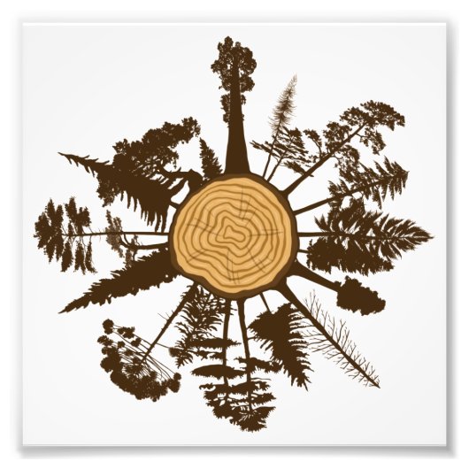 Ringbomen met boomstam met dwarsdoorsnede foto afdruk (Voorkant)