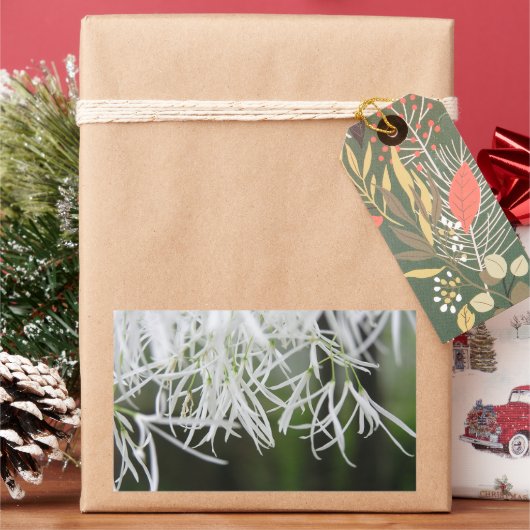 Ringboom (Chionanthus virginicus) Rechthoekige Sticker (Feestdagen)