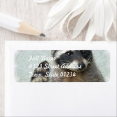 Ringed Raccoon Mailing Labels (Insitu)