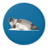 Ringed zegel keramische knop (Voorkant)