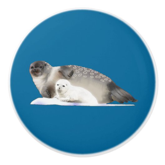 Ringed zegel keramische knop (Voorkant)