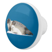 Ringed zegel keramische knop (Rechts)