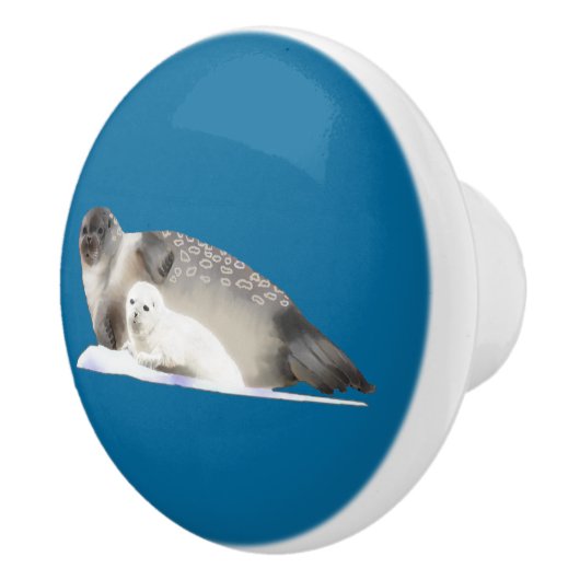 Ringed zegel keramische knop (Rechts)