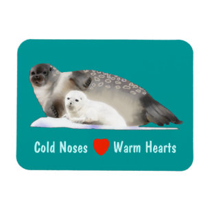 Ringed zegel magneet