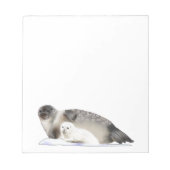 Ringed zegel notitieblok (Voorkant)