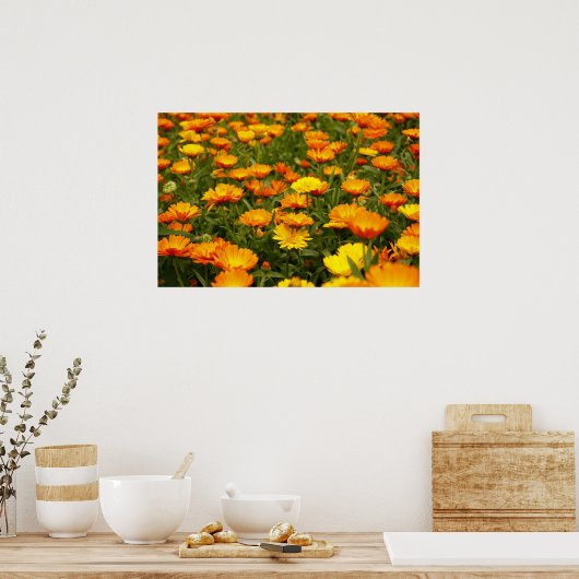 Ringelblume Poster (Keuken)