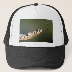 Ringelnatter Trucker Pet