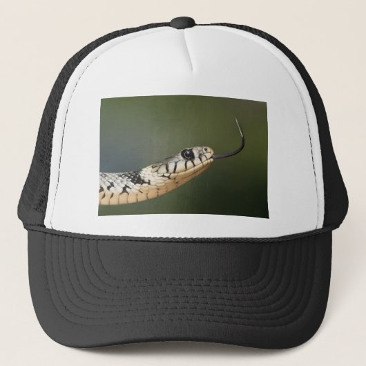 Ringelnatter Trucker Pet (Voorkant)