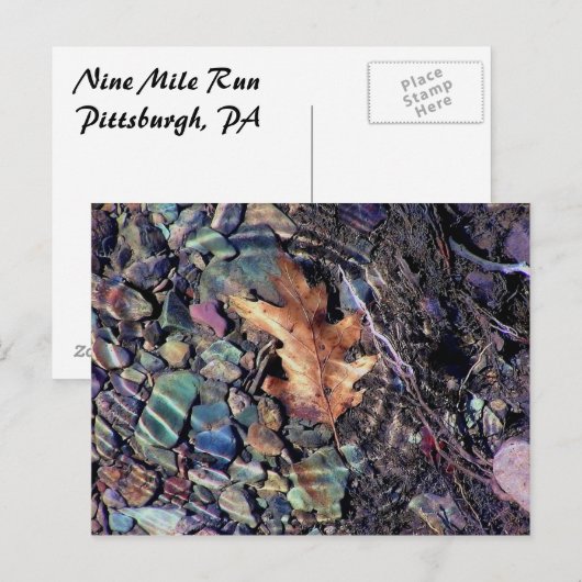 ringen van helder water briefkaart (Voorkant / Achterkant)