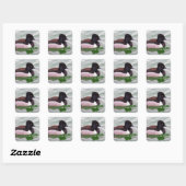 Ringhals eend vierkante sticker (Vel)