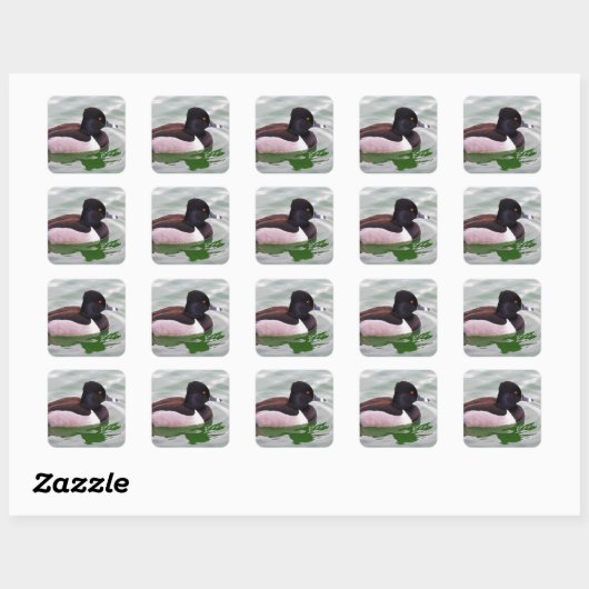 Ringhals eend vierkante sticker (Vel)