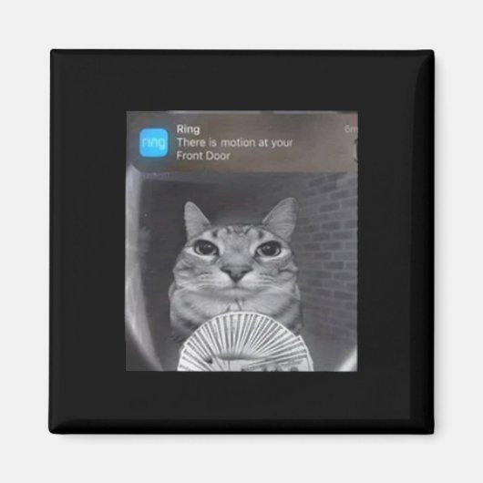 Ringkat met bewegingsmeme magneet (Voorkant)