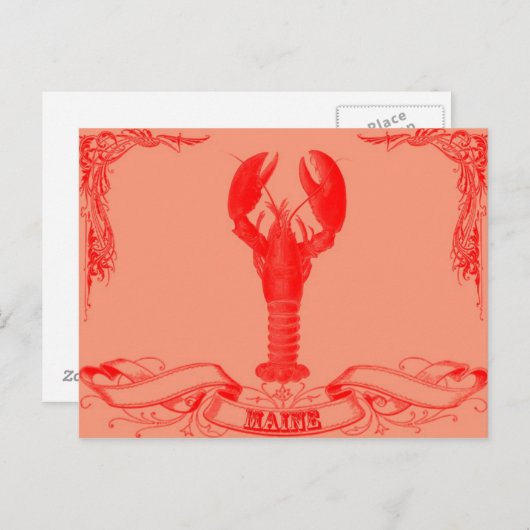 ringkreeft briefkaart (Voorkant / Achterkant)