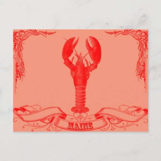 ringkreeft briefkaart (Voorkant)