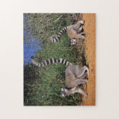 Ringlemuren (Lemur Catta), Berenty Legpuzzel (Verticaal)