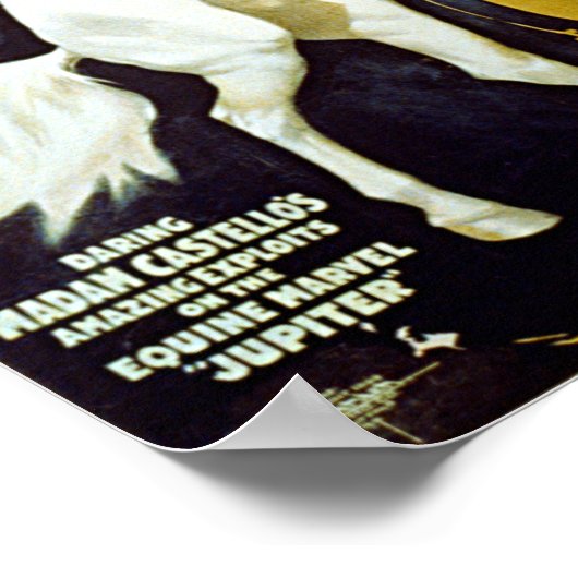  ringlende bros. Poster van witte paarden (Hoek)