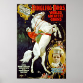  ringlende bros. Poster van witte paarden (Voorkant)