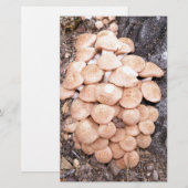 ringless honey paddenstoelen briefpapier (Voorkant / Achterkant)