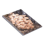 ringless honey paddenstoelen notitieboek (Rechterzijde)