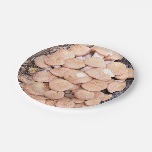 ringless honey paddenstoelen op een papieren bord (Gekanteld)