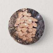 ringless honey paddenstoelen ronde button 5,7 cm (Voorkant)
