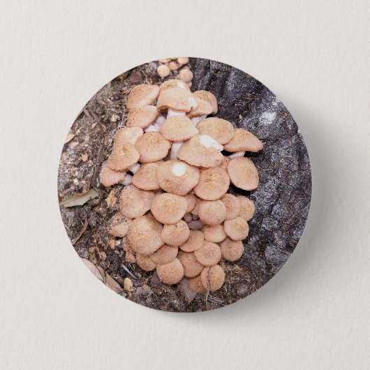 ringless honey paddenstoelen ronde button 5,7 cm (Voorkant)