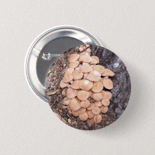 ringless honey paddenstoelen ronde button 5,7 cm (Voorkant /achterkant)