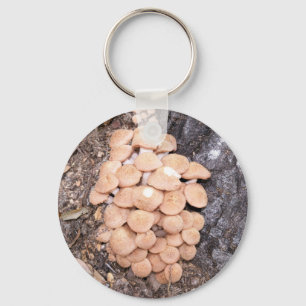 ringless honey paddenstoelen sleutelhanger