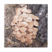 ringless honey paddenstoelen tegeltje (Voorkant)